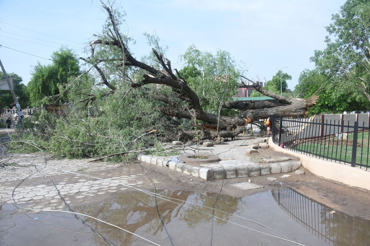 side effects of rain