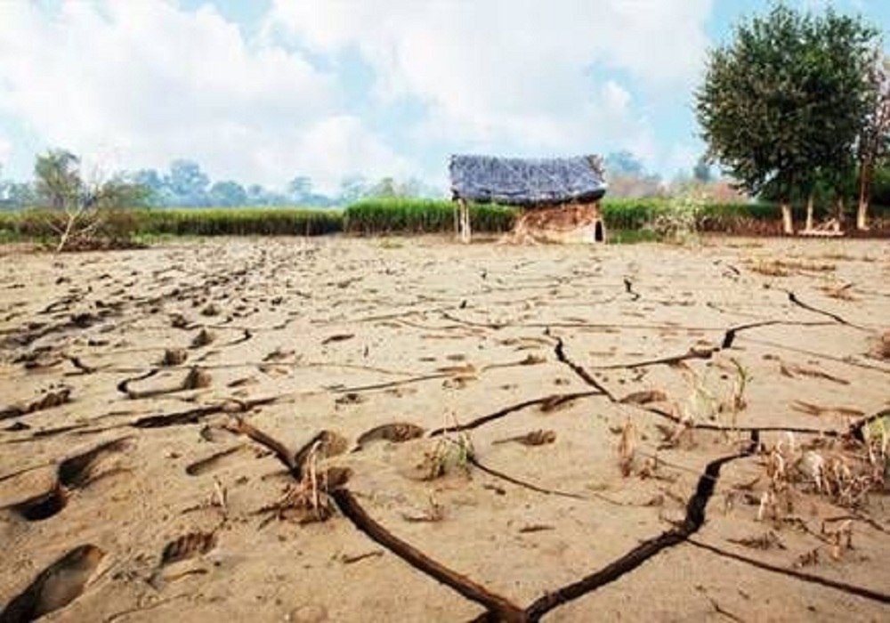 56 districts of UP under drought conditions, list declared