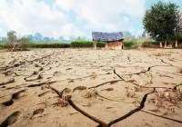 56 districts of UP under drought conditions, list declared