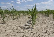 drought