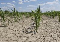 drought