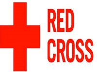 Schools charge fees but do not teach Lessons of the service of the suffering humanity