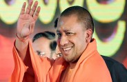 yogi