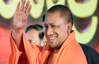 yogi