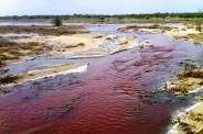Polluted water reaching the Looni river for eight years