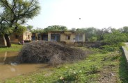 Chousla News