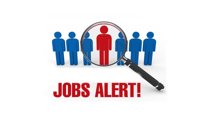 Jobs in Universities