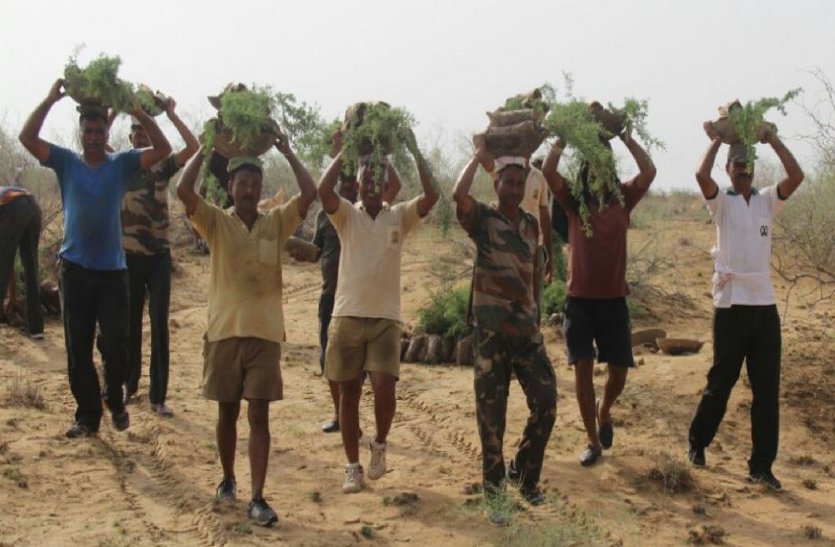 jaisalmer news