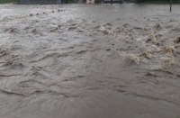 sehore, sehore news, sehore patrika, patrika news, patrika bhopal, bhopal mp, river, Bustling river, swimmer, barish, weather, mousam,