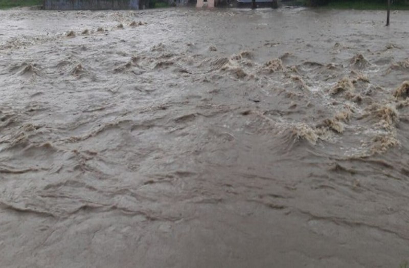 sehore, sehore news, sehore patrika, patrika news, patrika bhopal, bhopal mp, river, Bustling river, swimmer, barish, weather, mousam,