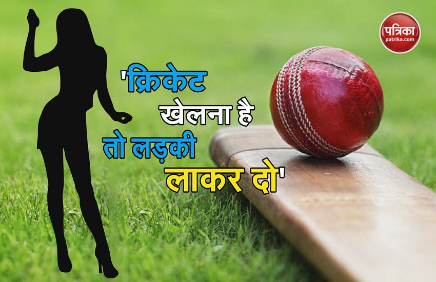 cricket