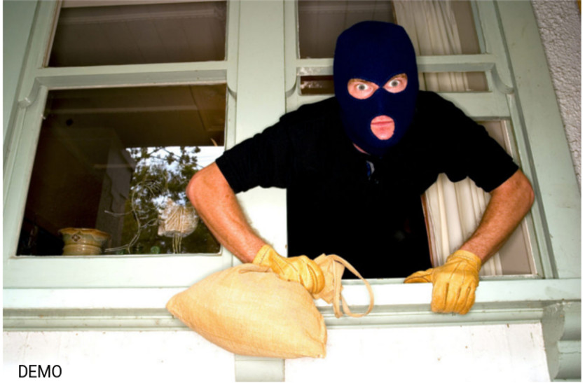 thief