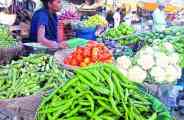 vegetable 