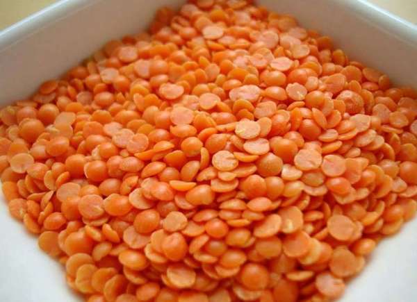 Red Lentil