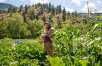 Education,Govt Jobs,career courses,Professional Courses,education news in hindi,