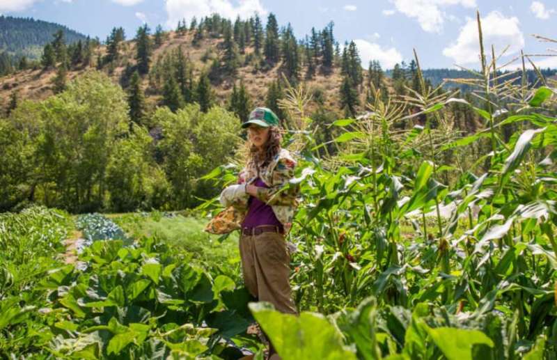 Education,Govt Jobs,career courses,Professional Courses,education news in hindi,