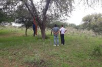 Long-running love affair