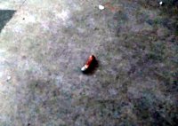 Satna icu golikand case, VIP Treatment on Duty Doctor's Oral Order