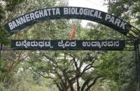 bannerghatta