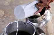 milk