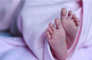 newborn