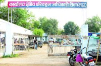 Employee working in a RTO office for twenty years