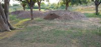 Mining trucks dump on Kasariyat Ghat, 100 trucks sand