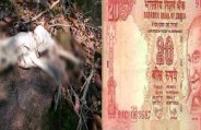 Skeleton found in ditch