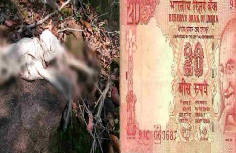 Skeleton found in ditch