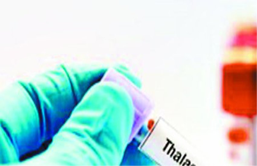 BMC Investigating people malaria positive