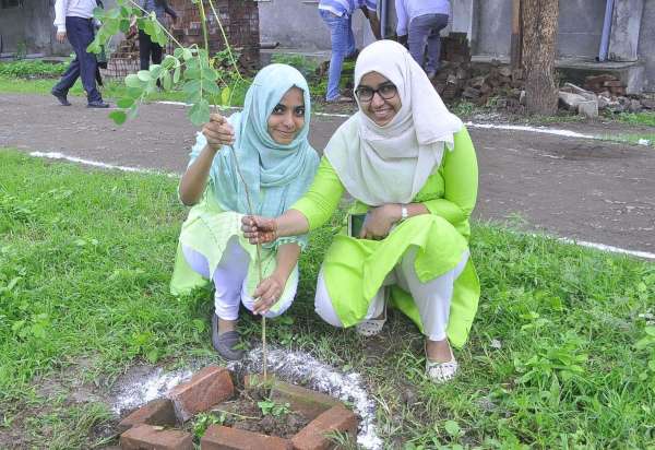  Magazine Green Map: Planting plants in Dental College, all the photos seen