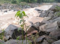 Dead body of young man