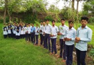 tree plantation