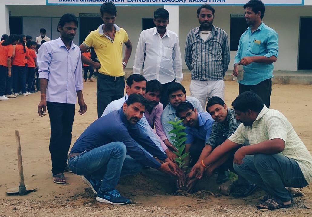 Environmental message by planting plants