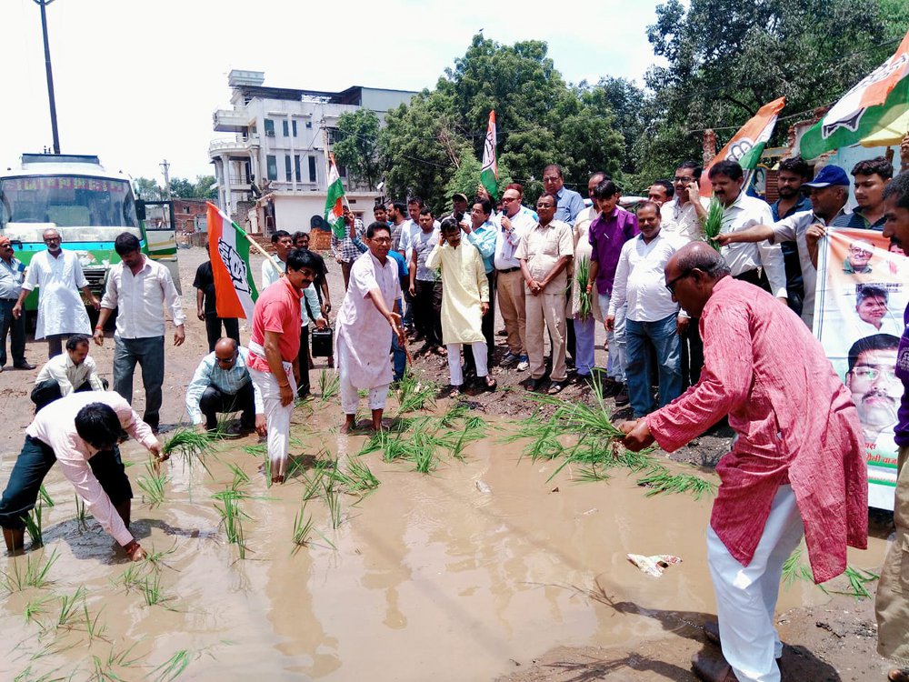 Congress planted seedlings of paddy on National Highway