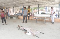 Suicide by jumping in front of train