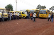 School bus checking