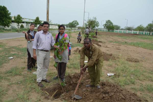 beautiful pics of hariyalo rajasthan campaign in ajmer