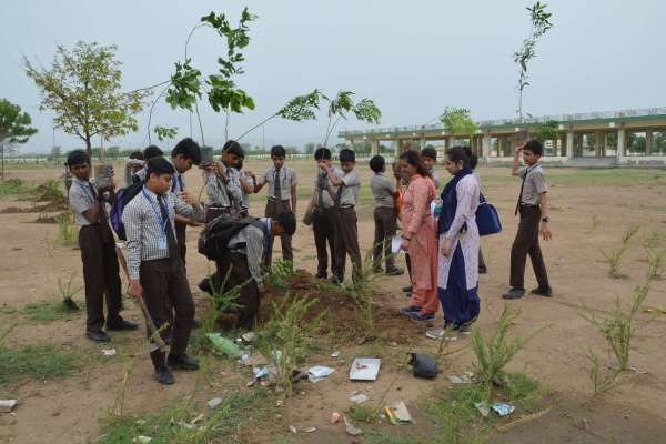 beautiful pics of hariyalo rajasthan campaign in ajmer