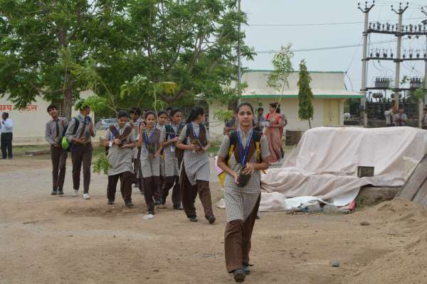 beautiful pics of hariyalo rajasthan campaign in ajmer