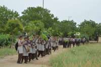 beautiful pics of hariyalo rajasthan campaign in ajmer 
