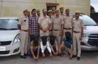 Case kidnap and ransom gangs on highway in bhilwara