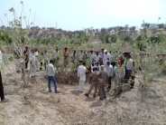 The victim of chinkara at Hathitala