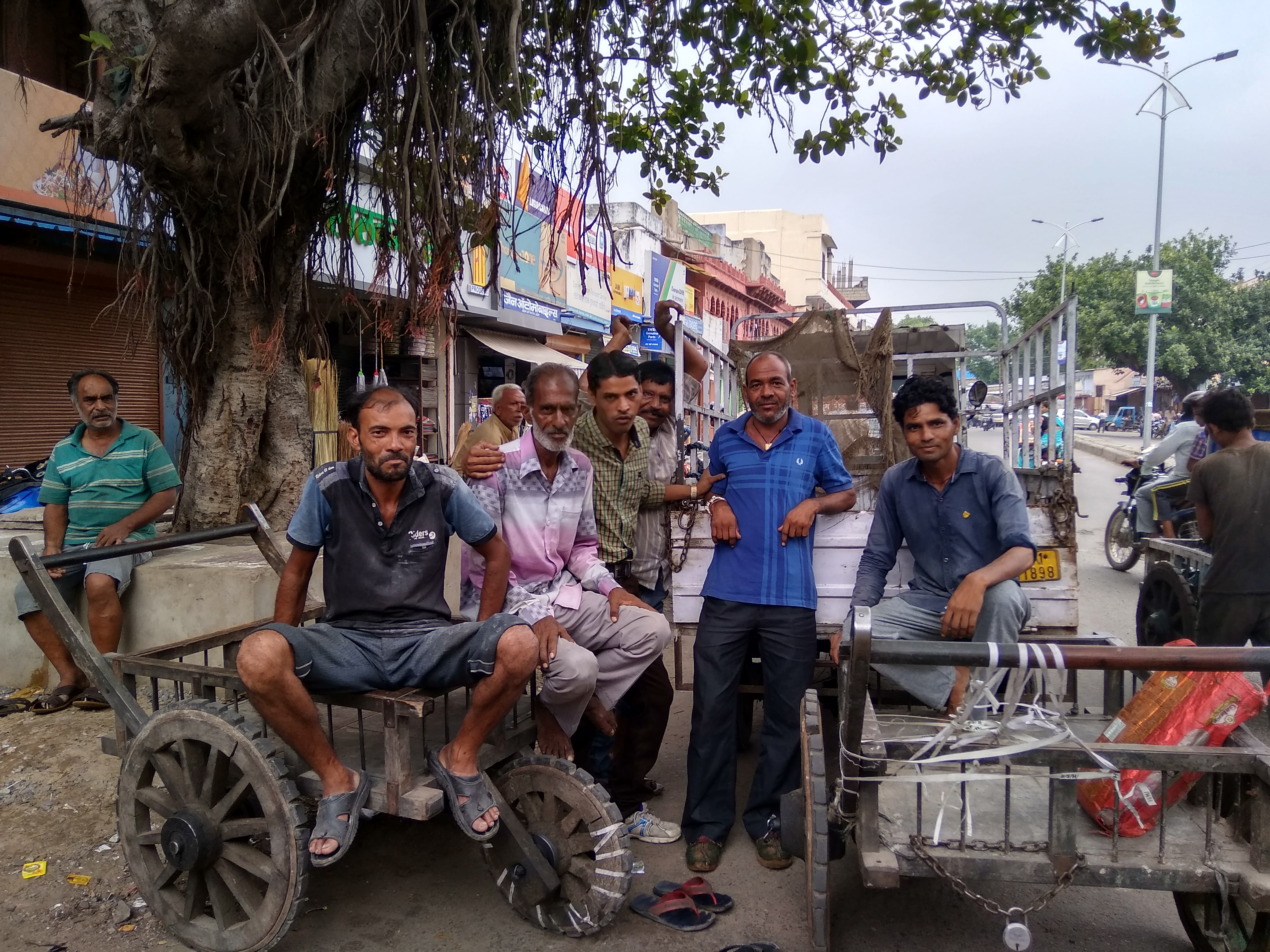 Transport Business in loss because of strike of transport