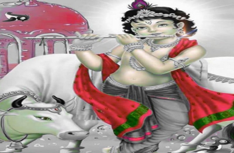 ekadashi vrat katha, mahatav, puja vidhi, devshayani ekadashi