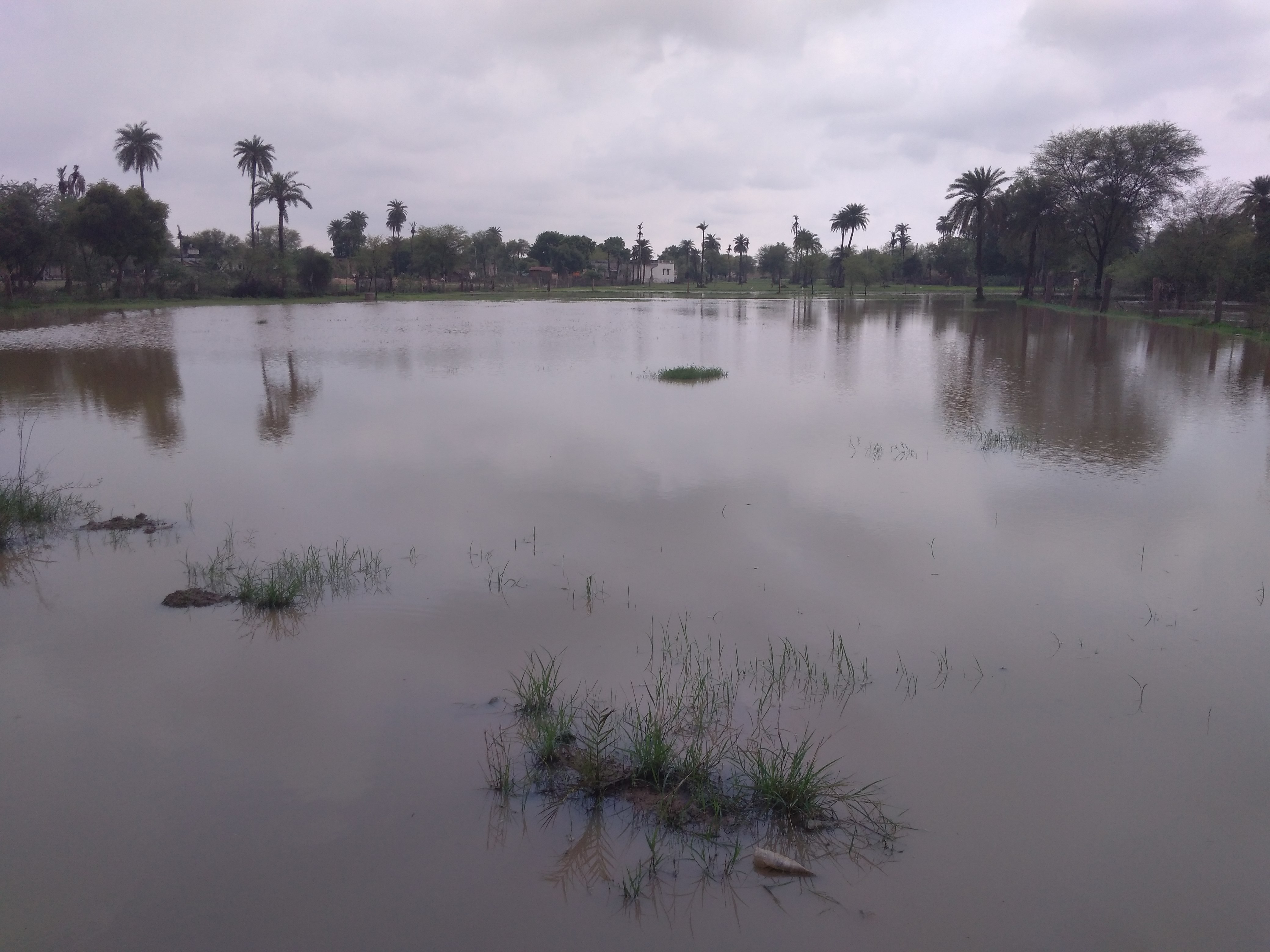 rain water in farm