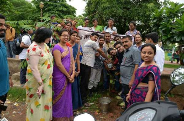 Tree plantation