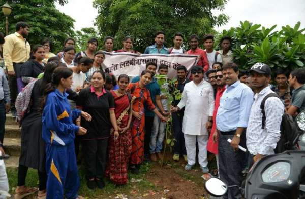 Tree plantation
