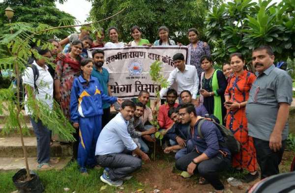 Tree plantation