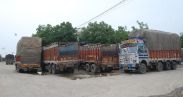 Transport businessman this strike